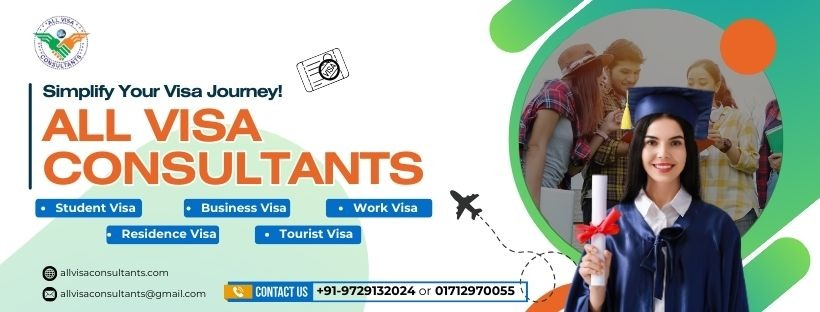 VISA Consult